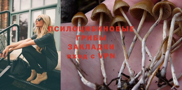 а пвп мука Алексеевка
