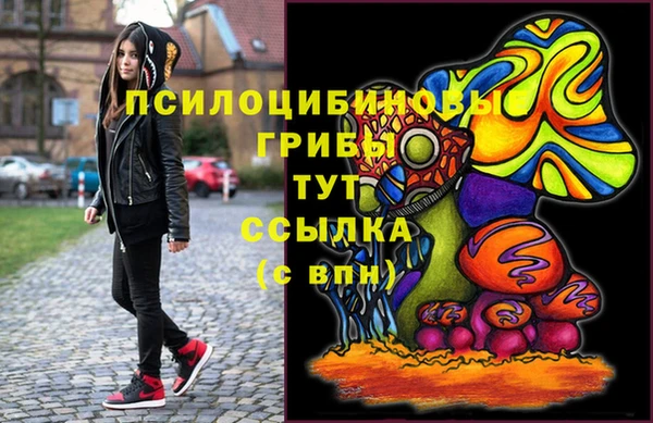 круглые Алзамай