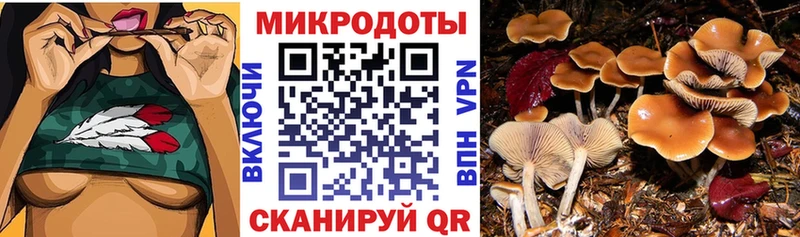 Галлюциногенные грибы Psilocybine cubensis  что такое   гидра рабочий сайт  Пучеж 
